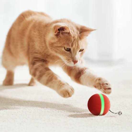 animal toys featuring a ginger cat reaching toward a red ball with a bright green stripe and attached bell