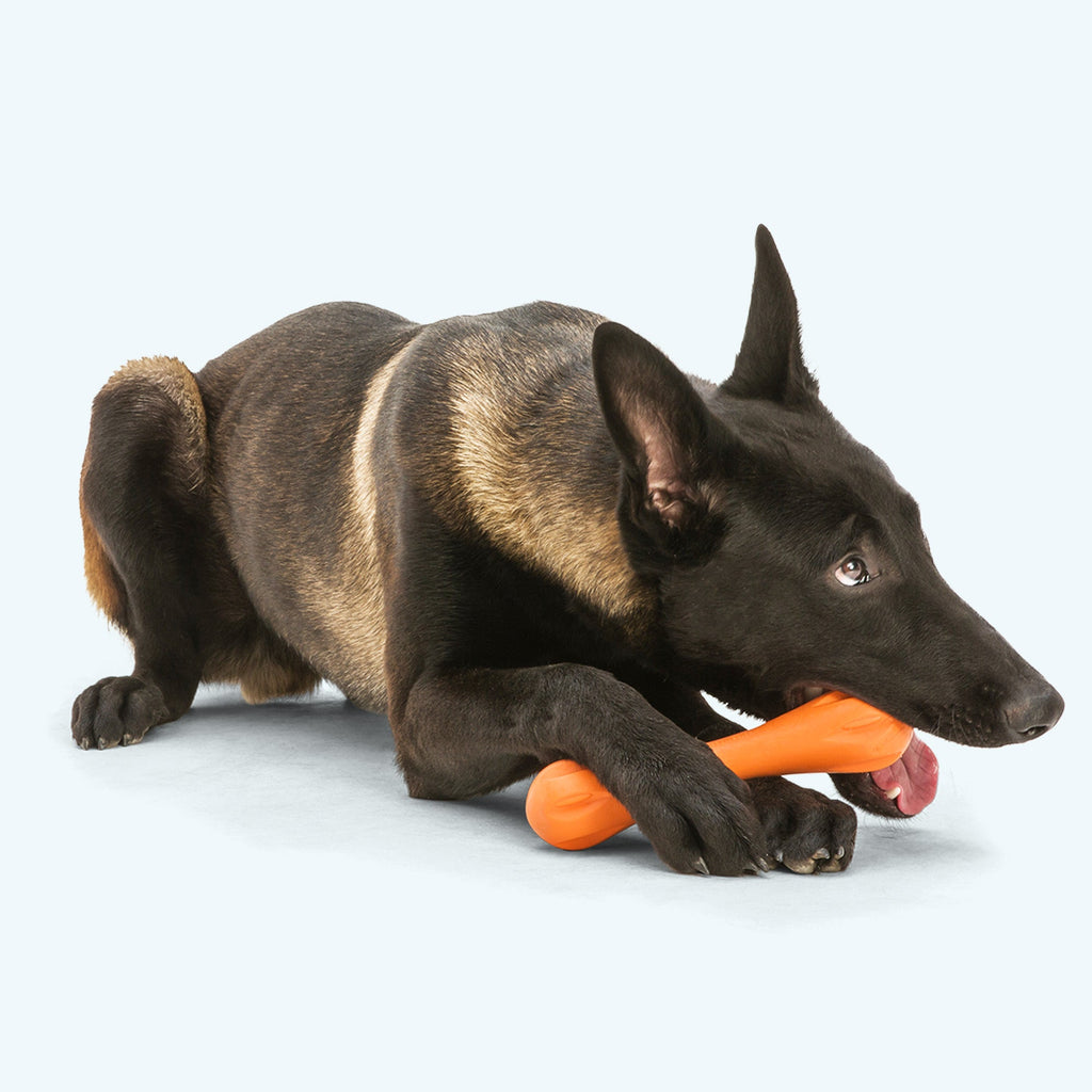 Hurley Tough Chew