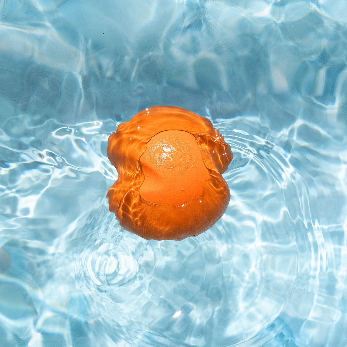 Jive Erratic Bounce Ball