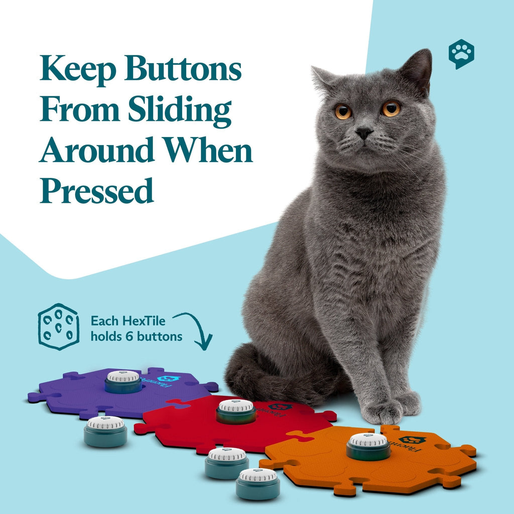 FluentPet Get Started Kit