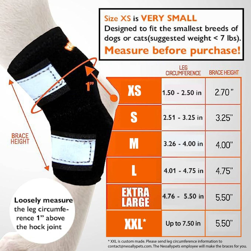 NeoAlly Short Rear Leg Hock Brace for Small Dogs