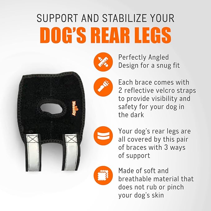 NeoAlly Short Rear Leg Hock Brace for Small Dogs
