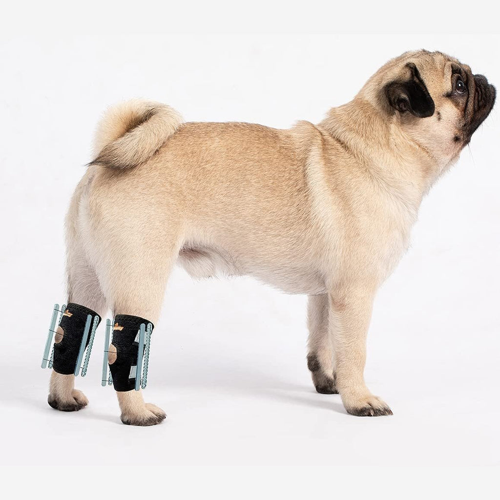 NeoAlly Short Rear Leg Hock Brace for Small Dogs