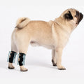 NeoAlly Short Rear Leg Hock Brace for Small Dogs