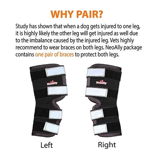 NeoAlly Long Rear Leg Hock Brace for Large Dogs