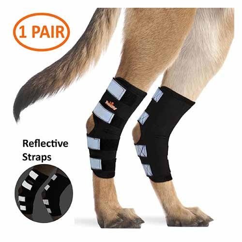 NeoAlly Long Rear Leg Hock Brace for Large Dogs