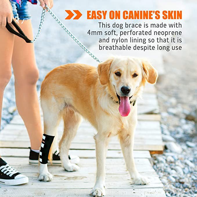 NeoAlly Long Rear Leg Hock Brace for Large Dogs