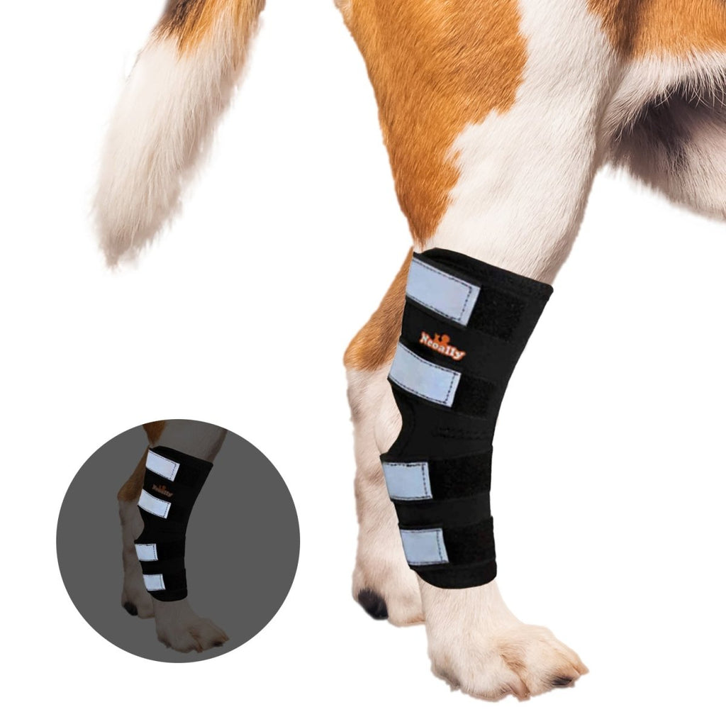 NeoAlly Long Rear Leg Hock Brace for Large Dogs