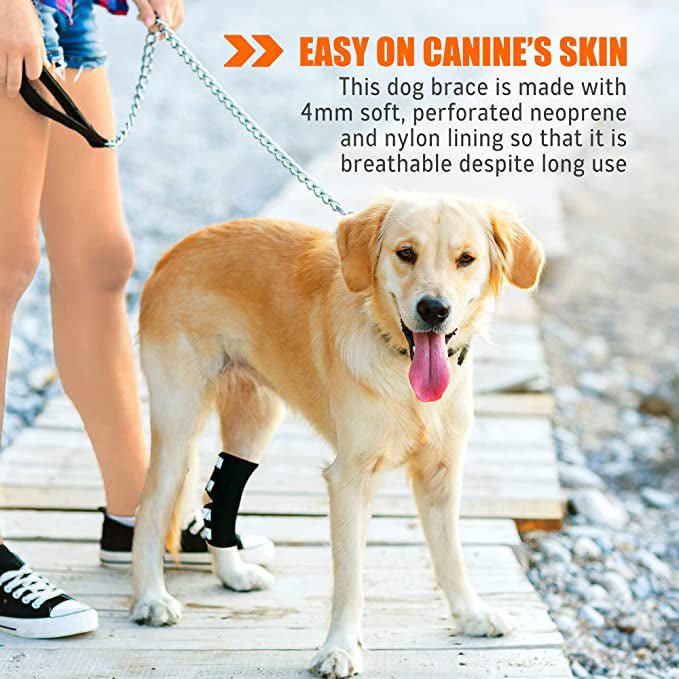 NeoAlly Long Rear Leg Hock Brace for Large Dogs