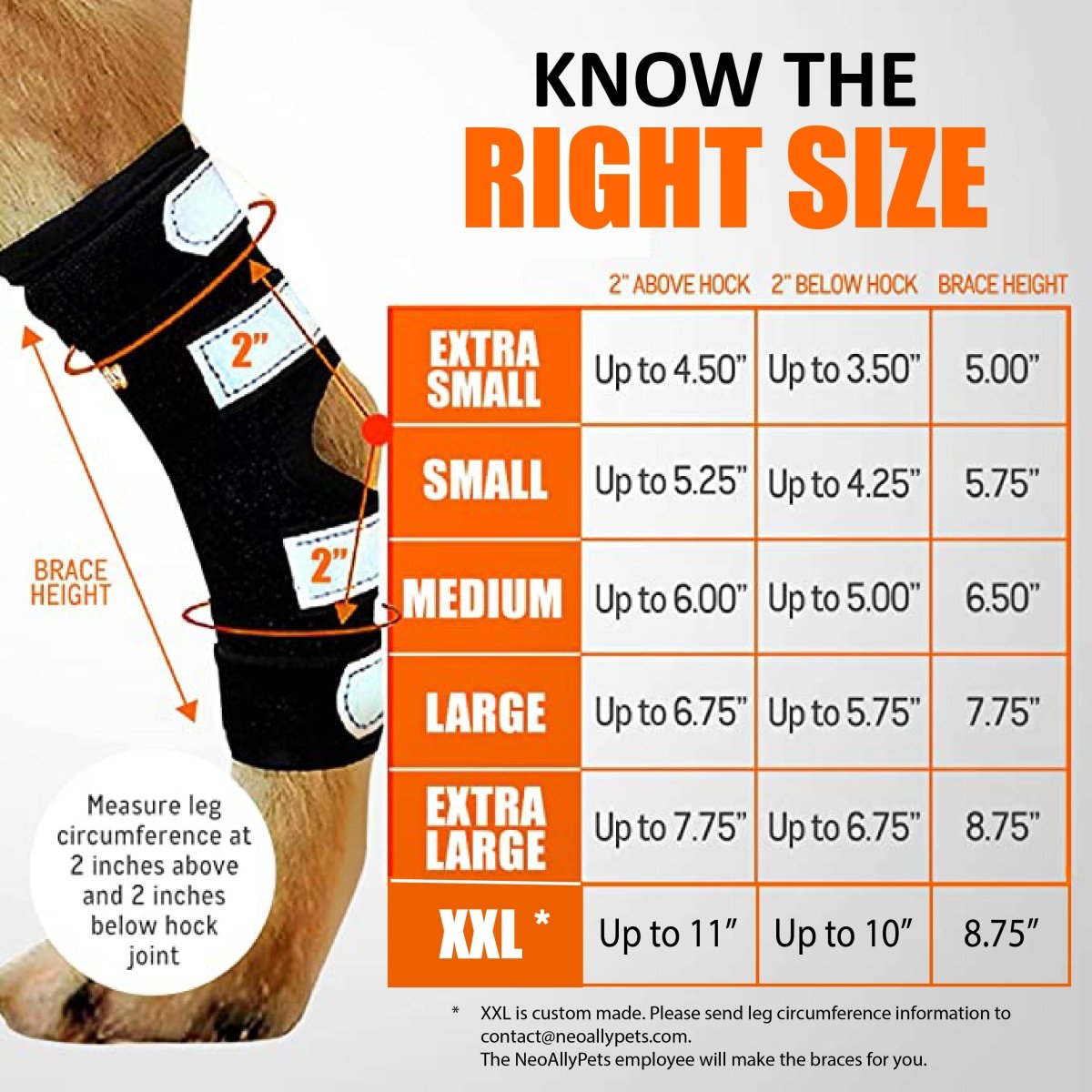 NeoAlly Long Rear Leg Hock Brace for Large Dogs
