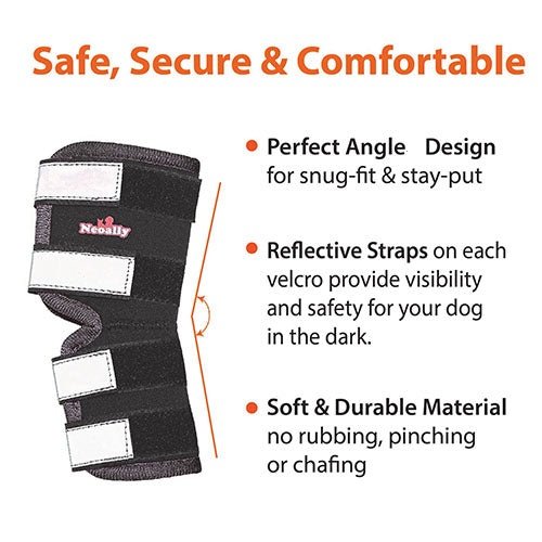 NeoAlly Long Rear Leg Hock Brace for Large Dogs