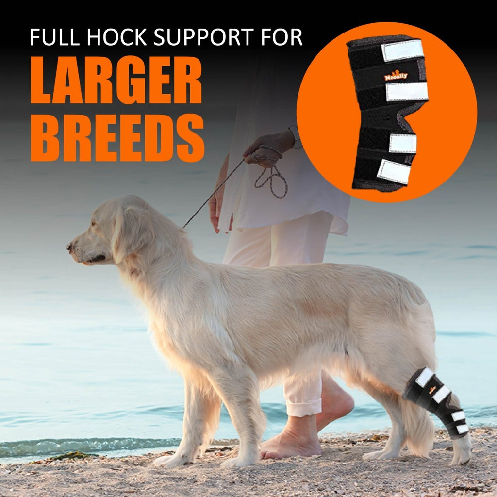 NeoAlly Long Rear Leg Hock Brace for Large Dogs