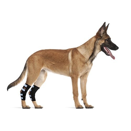 NeoAlly Long Rear Leg Hock Brace for Large Dogs