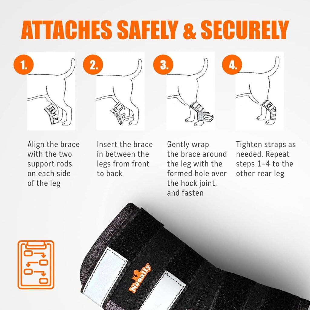 NeoAlly Long Rear Leg Hock Brace for Large Dogs