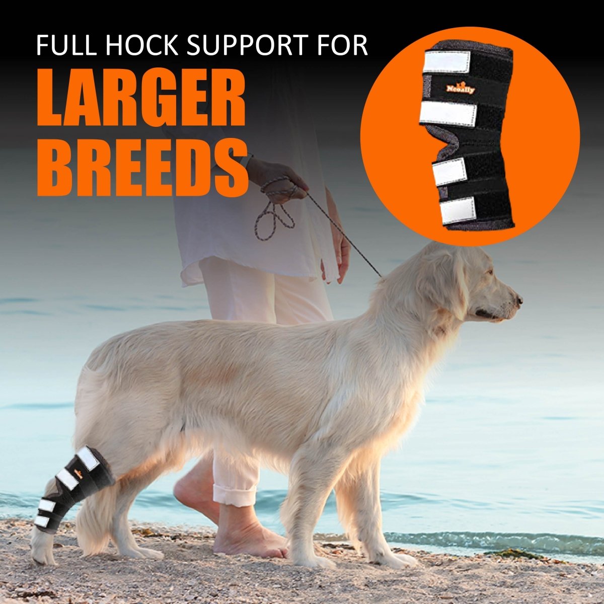 NeoAlly Long Rear Leg Hock Brace for Large Dogs