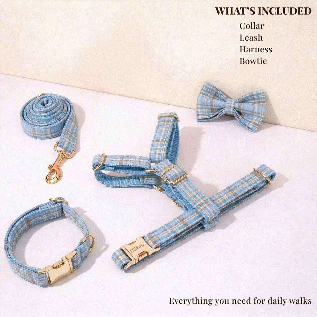 personalized no pull dog harness set in blue plaid nylon, with matching collar, leash and bow tie