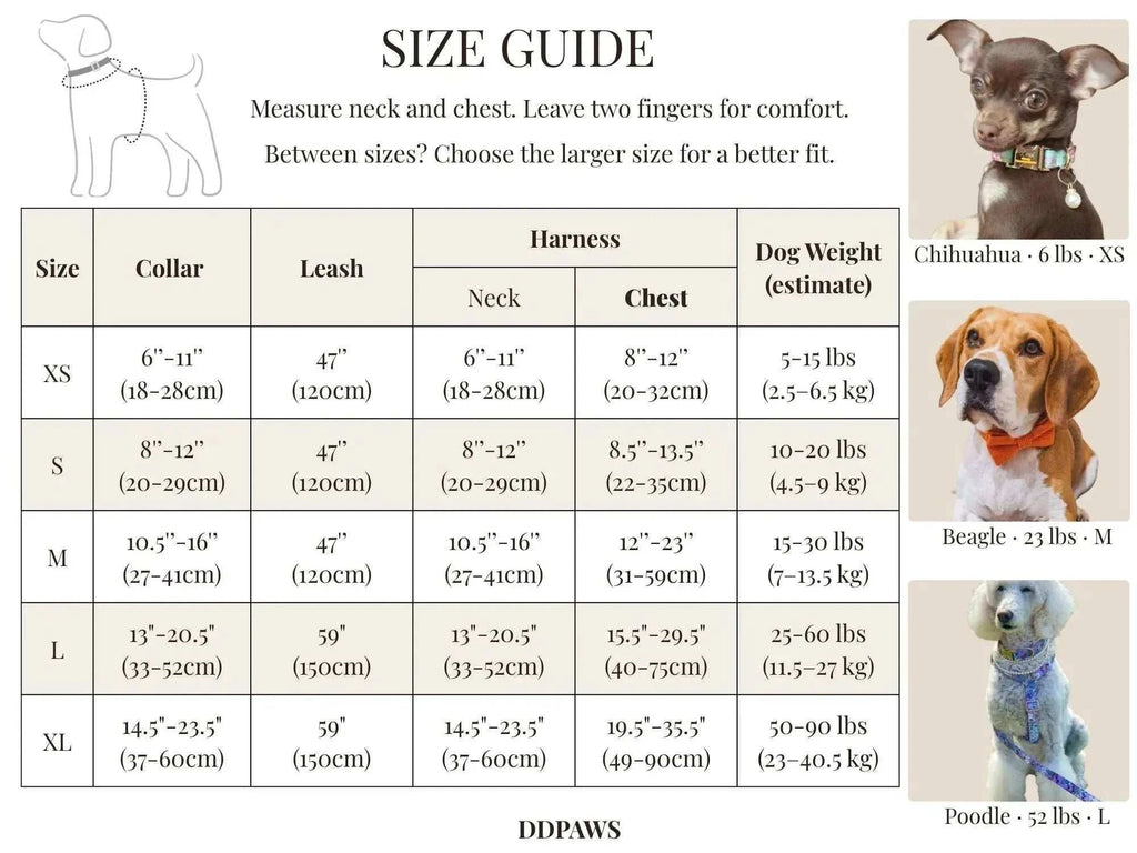 personalized no pull dog harness set shown in a size guide with collar, leash and harness measurements and dog examples