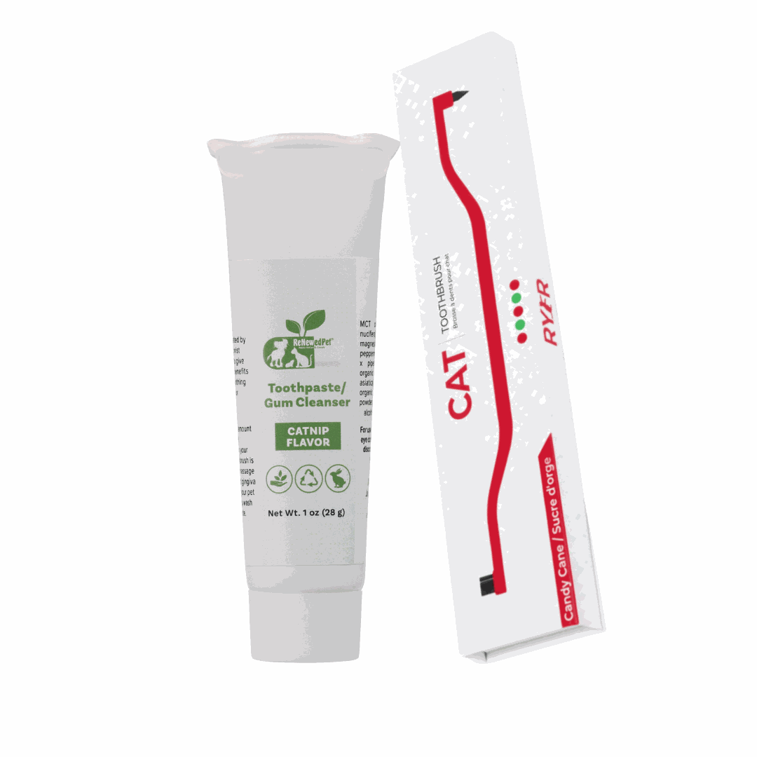 Pet Toothpaste/Gum Cleanser in a white catnip-flavor tube beside a red-and-white cat toothbrush package