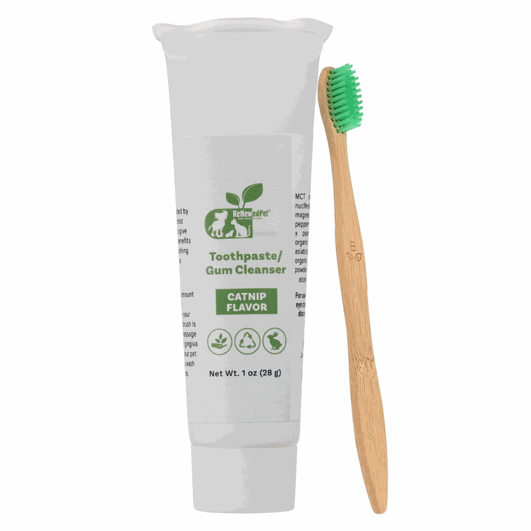 Pet Toothpaste/Gum Cleanser in a white catnip-flavor tube with green label, shown beside a wooden toothbrush with green bristles