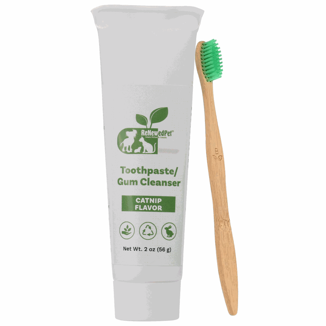 Pet Toothpaste/Gum Cleanser in a white catnip-flavor tube with green label, beside a wooden toothbrush with green bristles