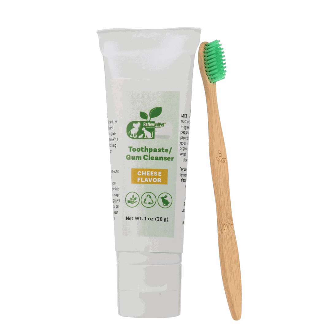 Pet Toothpaste/Gum Cleanser in a white cheese-flavor tube with a wooden-handled toothbrush and green bristles