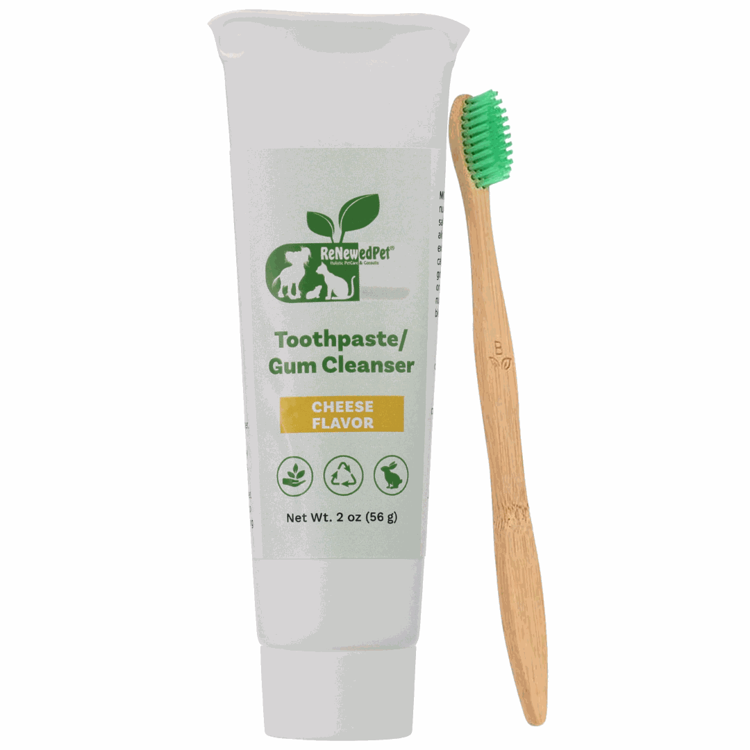 Pet Toothpaste/Gum Cleanser in a white tube with green and yellow labeling, paired with a wooden-handled toothbrush