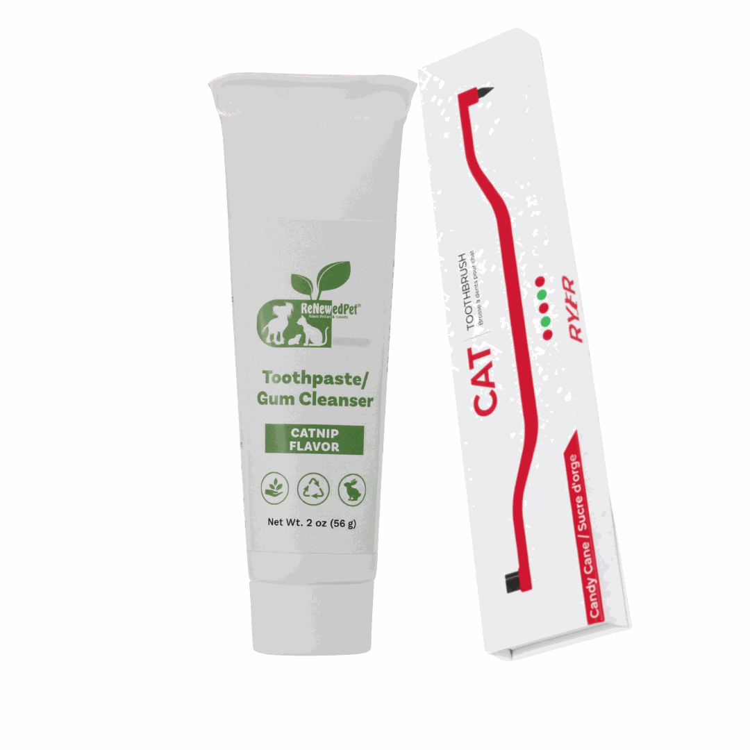 Pet Toothpaste/Gum Cleanser in a white tube with green catnip flavor label beside a slim red-and-white toothbrush