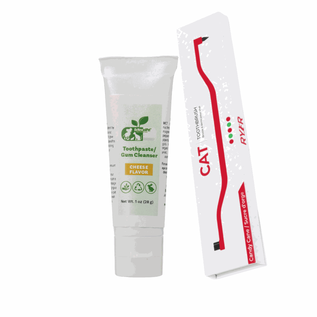 Pet Toothpaste/Gum Cleanser in a white tube with green labeling and a cheese flavor badge, beside a red cat toothbrush